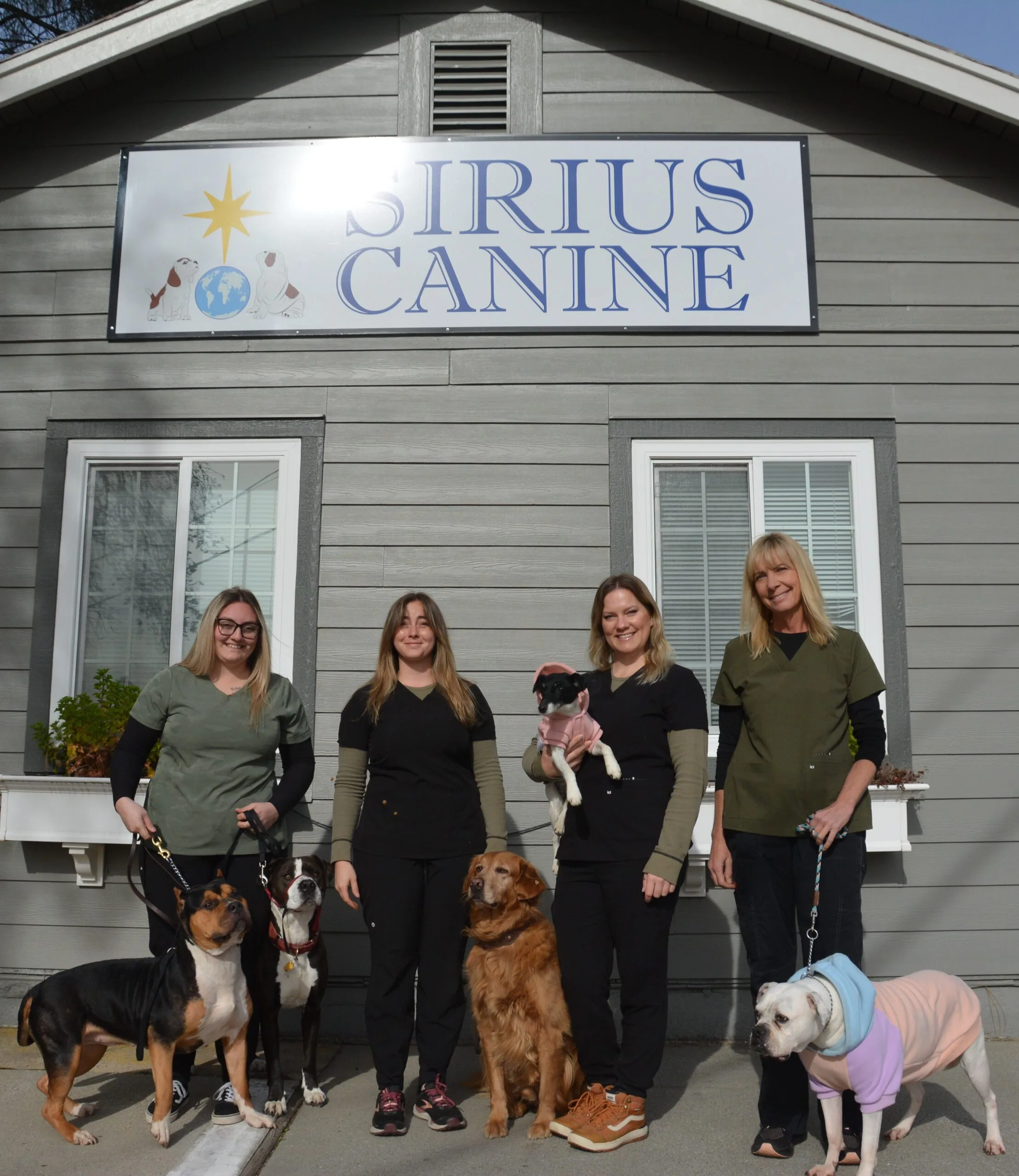 Happy canine client