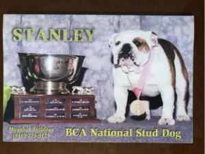 Mugshot's Standing Ovation