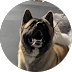 Client Avatar