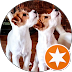 Client Avatar